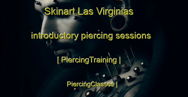 Skinart Las Virginias introductory piercing sessions | PiercingTraining | PiercingClasses | SkinartTraining-Mexico